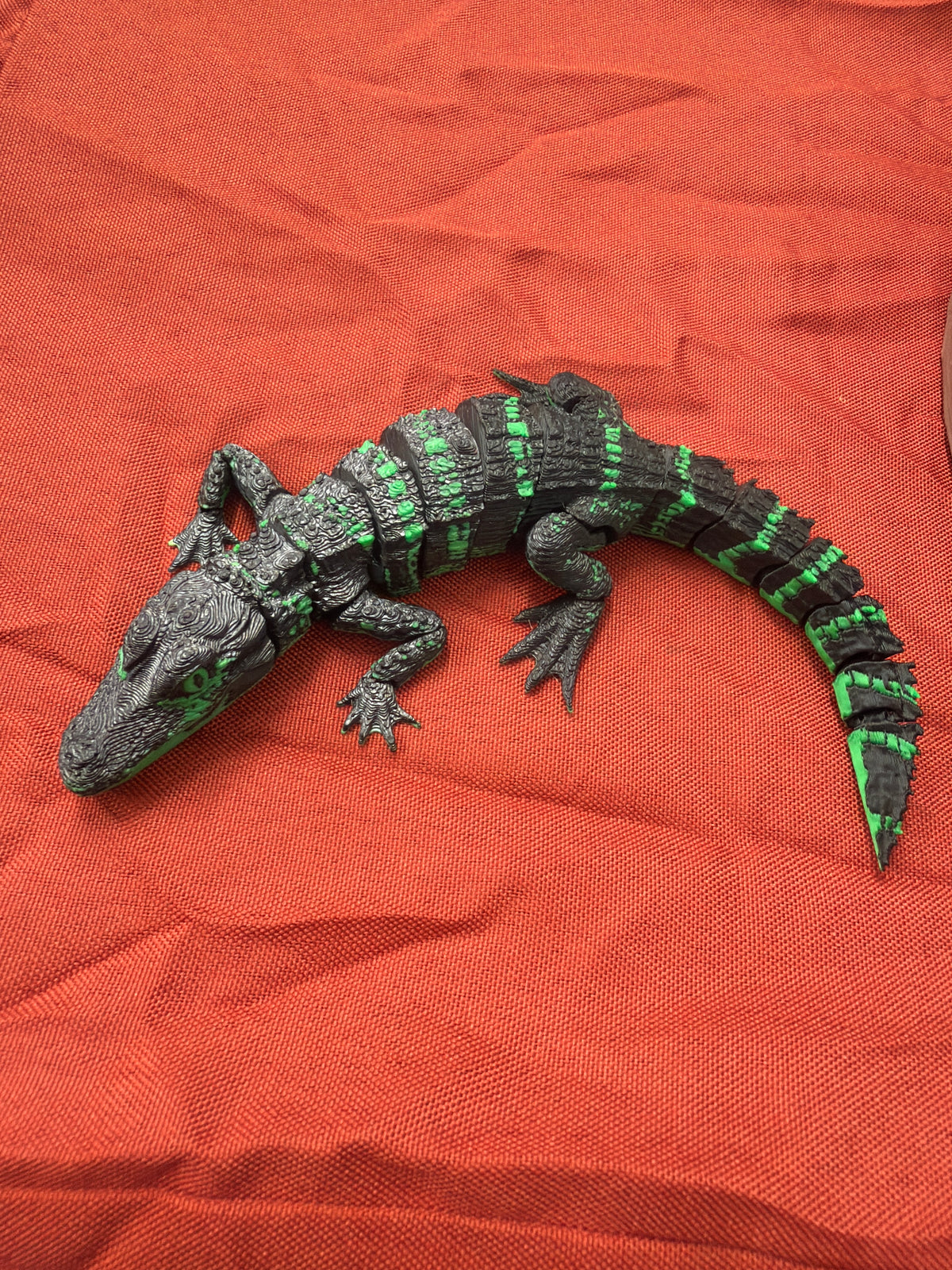 Alligator