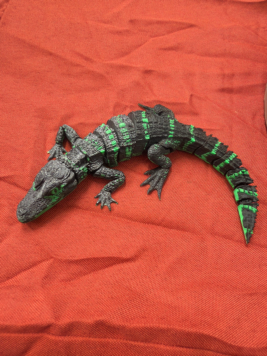 Alligator